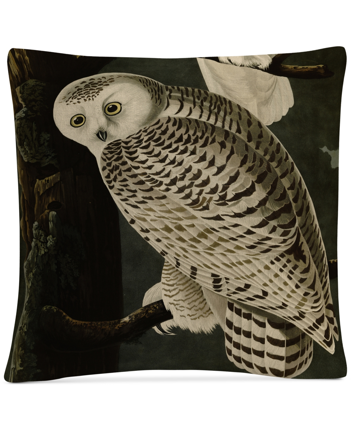 John James Audubon Snowy Owl Decorative Pillow, 16 x 16