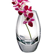Radiant  Vase