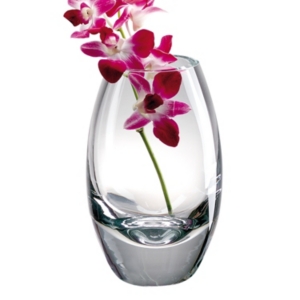 Shop Badash Crystal Radiant Vase In Clear