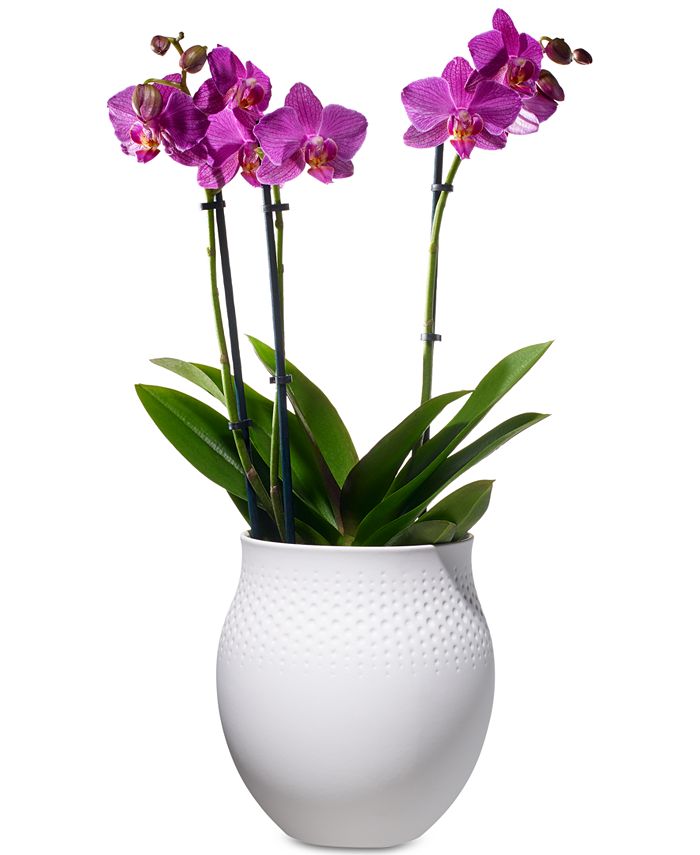 villeroy and boch white vase