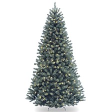 National Tree 7' North Valley Spruce Blue Hinged Tree with 550 Clear Lights