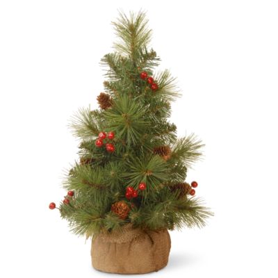 National Tree Company - 18" Everyday Collection Miniature Pine Cone & Berry Tree in Burlap