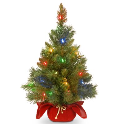 National Tree Company - 24" Majestic Spruce Tree in Burgundy Cloth Bag with 35 Multi Battery Operated LED Lights