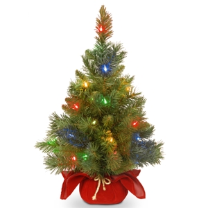 National Tree Company 24