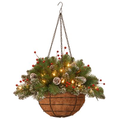 National Tree Company - 20" Glittery Mountain Spruce Hanging Basket with White Edged Cones, Red Berries and 35 Battery Operated Warm White LED Lights