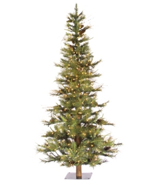 https://slimages.macysassets.com/is/image/MCY/products/3/optimized/10286843_fpx.tif?wid=300&fmt=jpeg&qlt=100