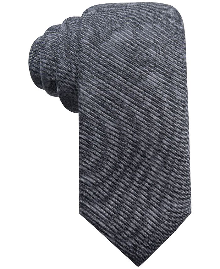 Ryan Seacrest Distinction Men's Pisa Printed Paisley Slim Silk Tie ...