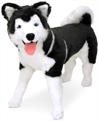 The BEST Siberian Husky Toys Under $10 