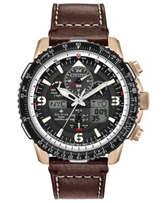 citizen promaster digital
