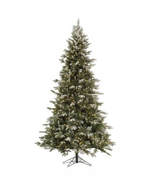 Vickerman 75 ft Frosted Balsam Fir Artificial Christmas Tree With 750 Warm White Led Lights