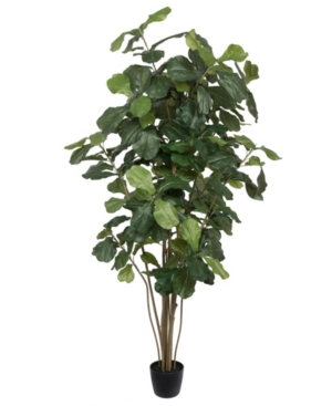 Vickerman 7' Artificial Green Potted Fiddle Tree With 240 Leaves