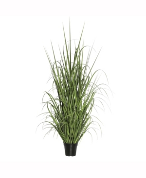 Vickerman 24