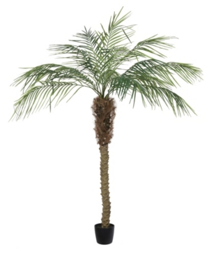 Vickerman 6' Artificial Potted Pheonix Palm Tree With 15 Branches And 545 Leaves