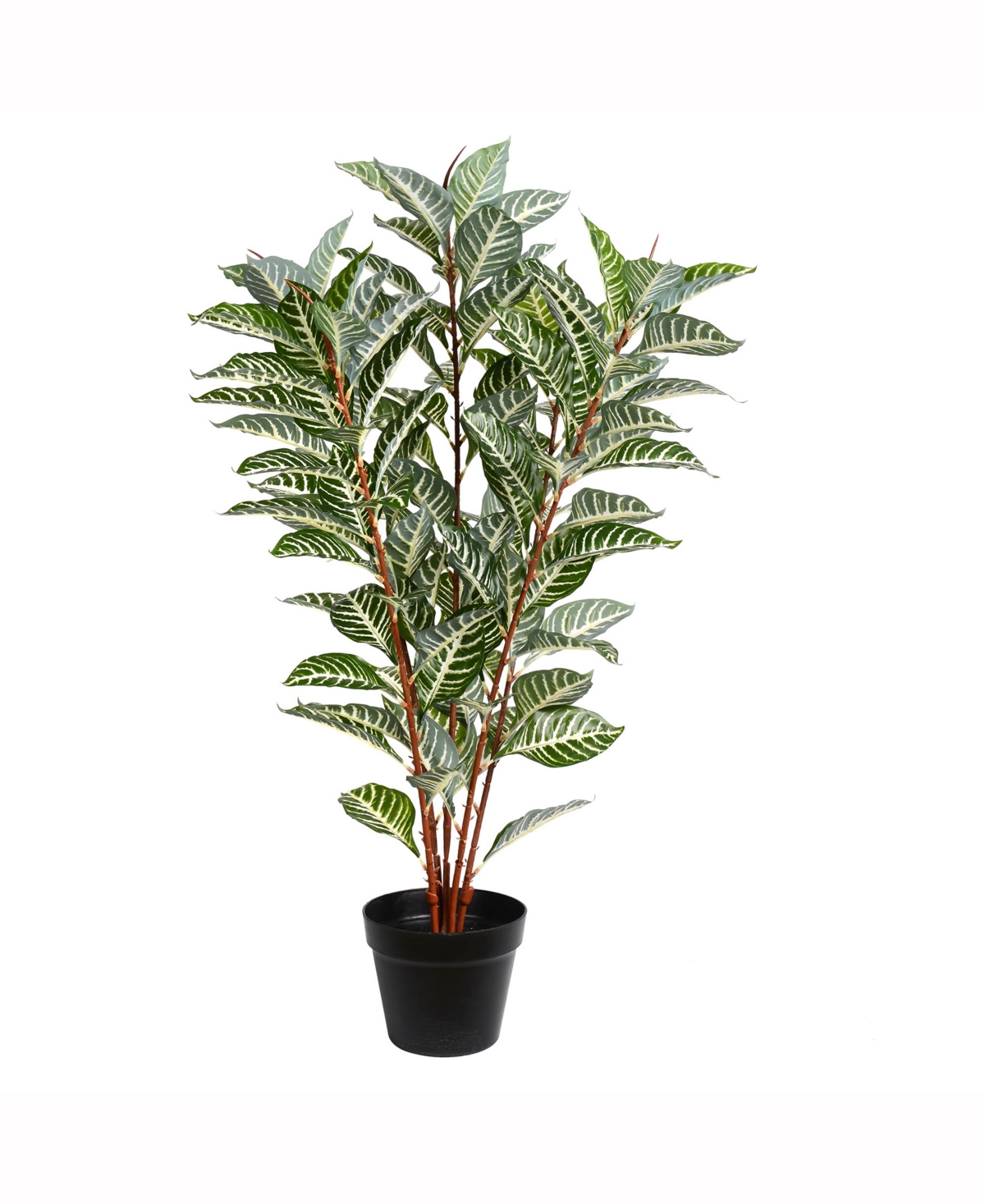 Vickerman 35" Artificial Green Real Touch Zebra Plant In Pot With 125 Leaves In No Color
