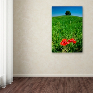 Trademark Global Michael Blanchette Photography 'red Poppies And Oak' Canvas Art, 12" X 19" In Open Misce