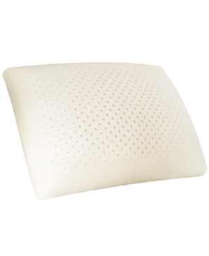 Isocool Memory Foam Standard Side Sleeper Pillow