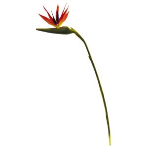 Nearly Natural 38-in. Large Bird Of Paradise Artificial Flower, Set Of 4 In Orange
