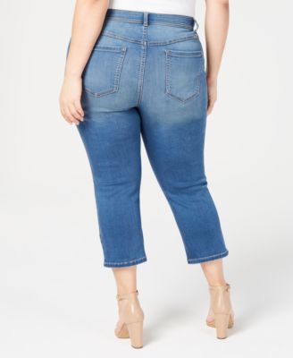 macy's inc plus size jeans