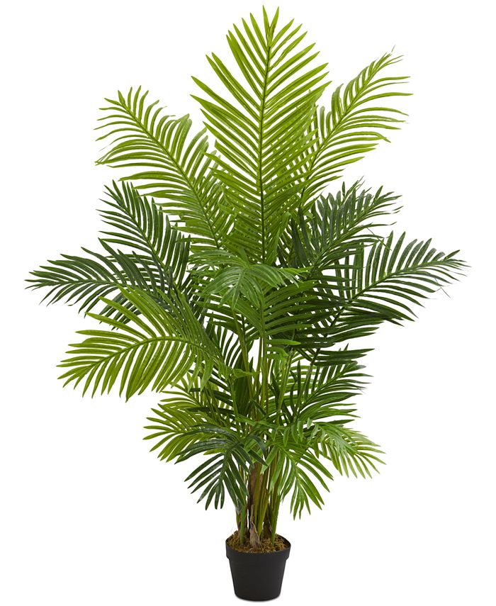 Nearly Natural - 5' Hawaii Palm Artificial Tree