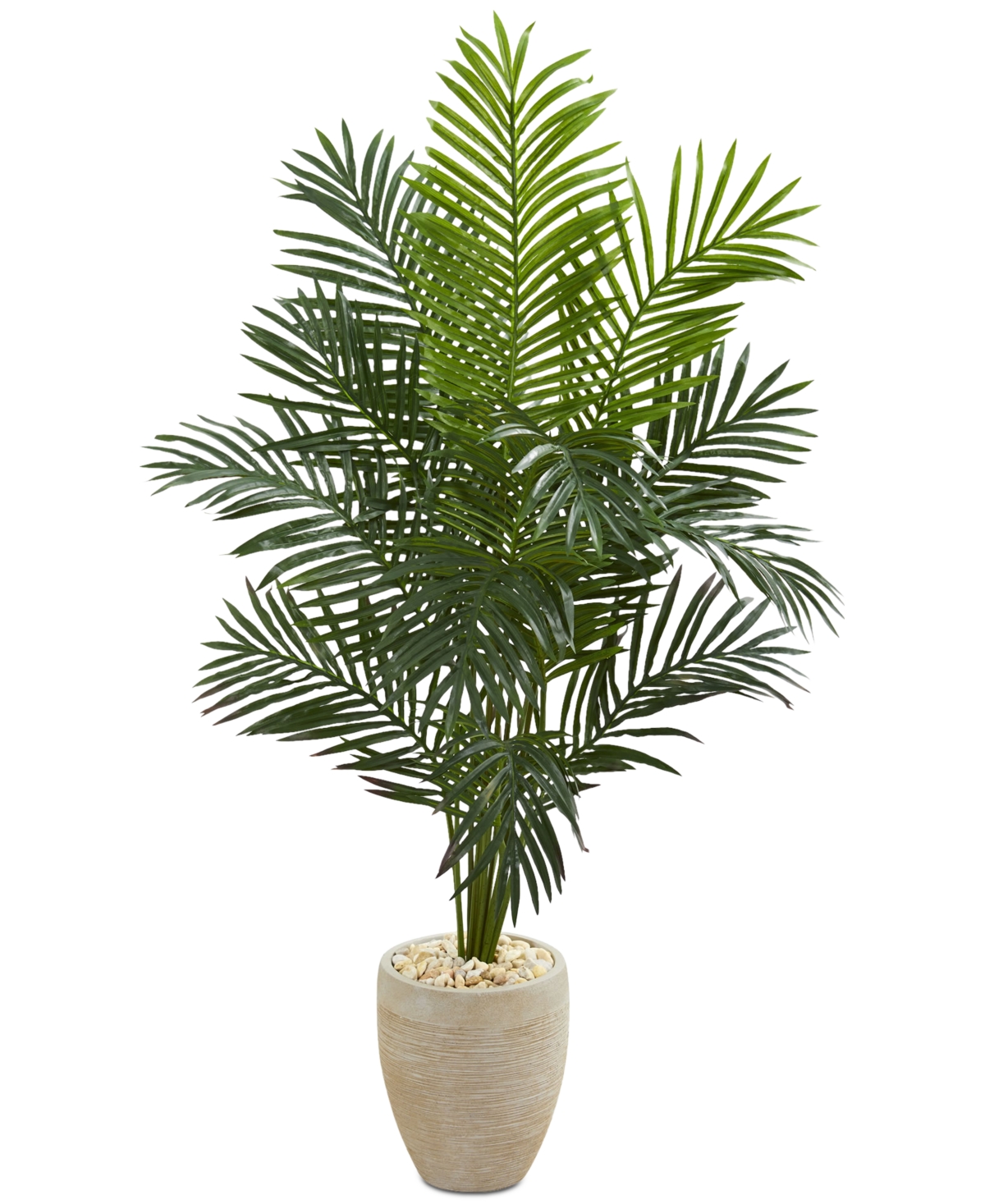 5.5' Paradise Palm Artificial Tree in Sand-Colored Planter - Green