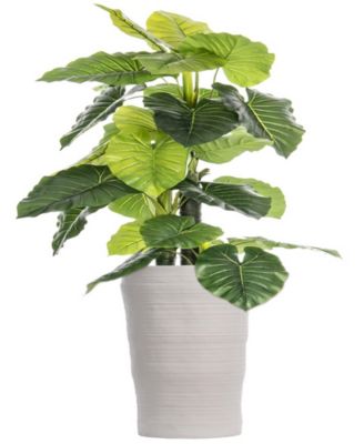 artificial indoor plants