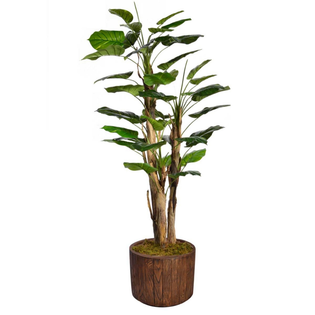 71" Tall Scindapsus Artificial Faux Contemporary Aureus W/Burlap In 12.8" Brown Wood-like Fiberstone Planter - Assorted