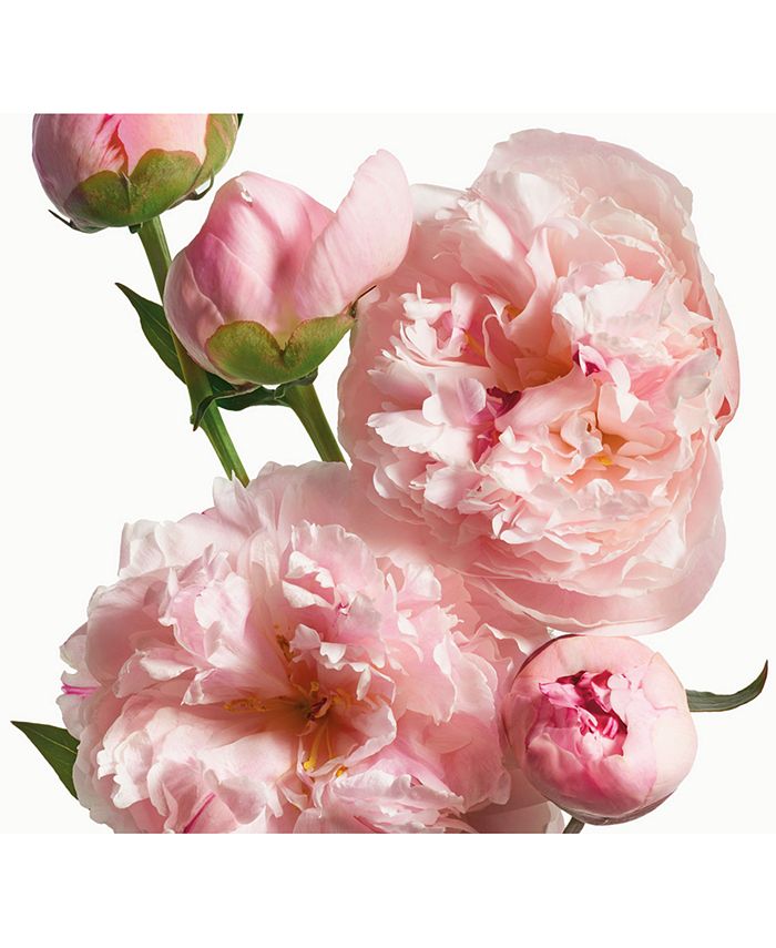 Tory Burch Love Relentlessly Fou de Toi Eau de Parfum, . & Reviews -  Perfume - Beauty - Macy's