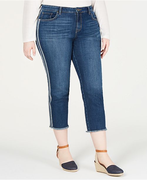 Style & Co Plus Size SideStriped Skinny Jeans, Created for Macy's