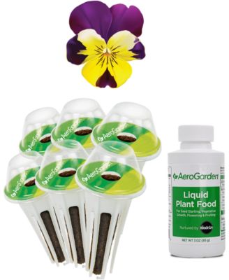 AeroGarden - Vibrant Violas 6-Pod Seed Kit