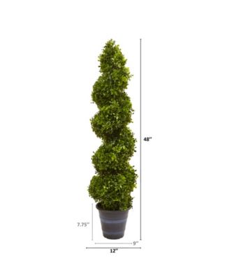 Boxwood Spiral Topiary w/ Planter