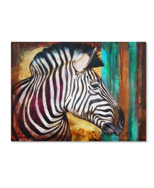 Trademark Global Corina St. Martin 'zebra Stripes' Canvas Art - 19" X 14" X 2" In Multi