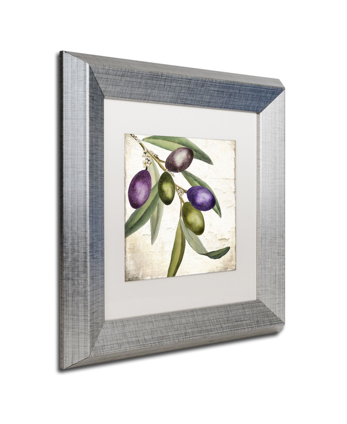Color Bakery 'Olive Branch I' Matted Framed Art -