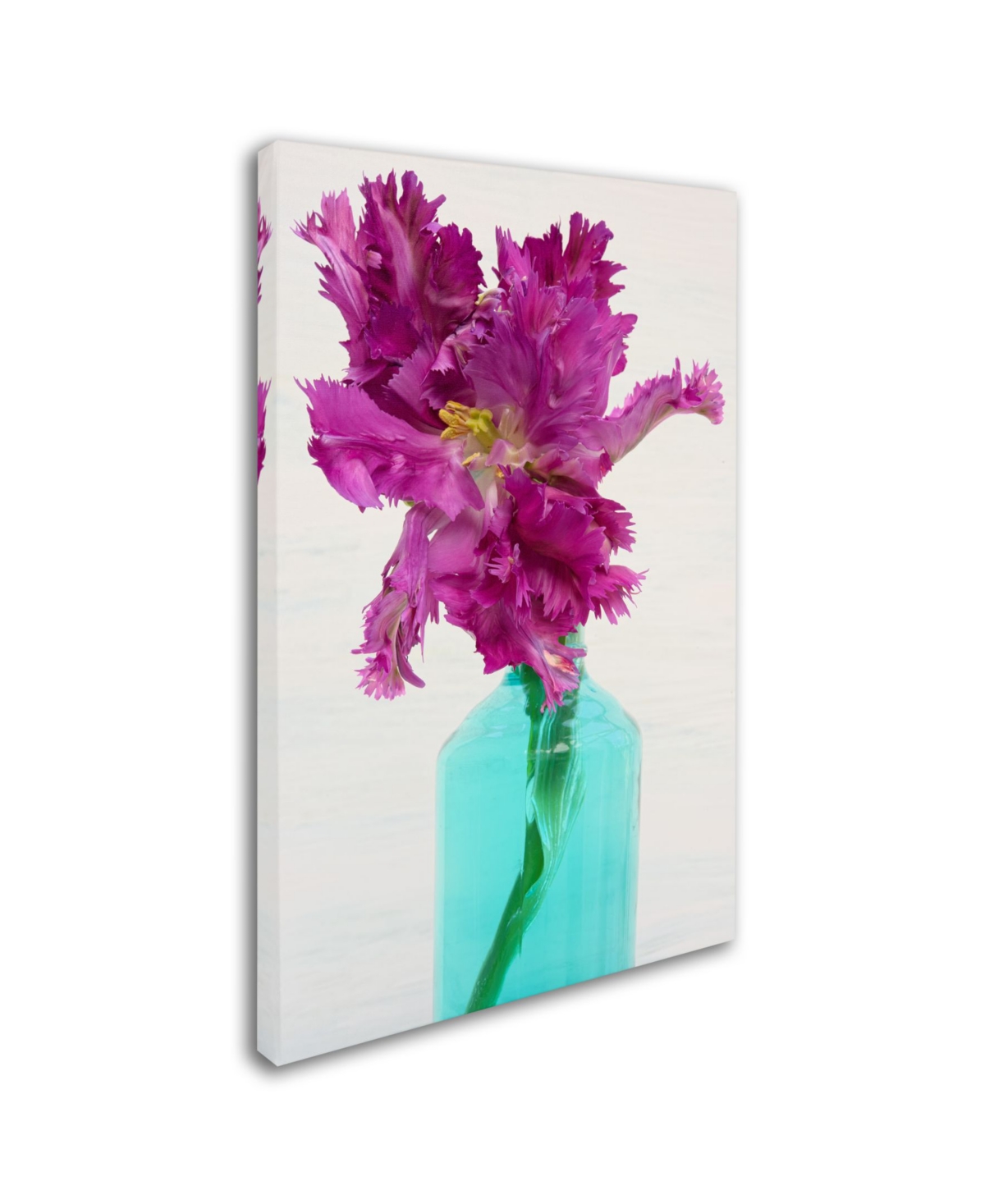 Cora Niele 'Purple Parrot Tulip' Canvas Art - 2