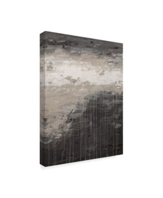 Hilary Winfield 'Lithosphere Gray Paint' Canvas Art - 47" x 35" x 2"