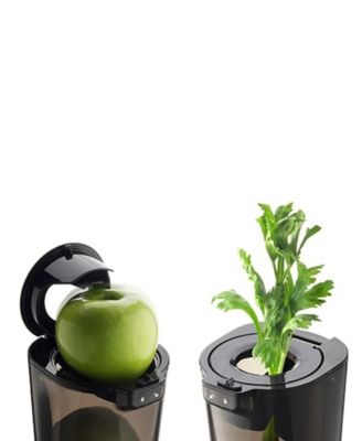 EVO820GM Whole Slow Juicer