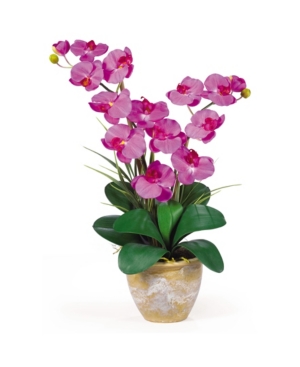 NEARLY NATURAL DOUBLE PHALAENOPSIS SILK ORCHID FLOWER ARRANGEMENT 
