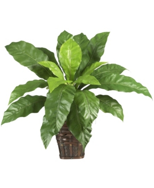 Nearly Natural Birds Nest Fern W/ Wicker Basket In Green