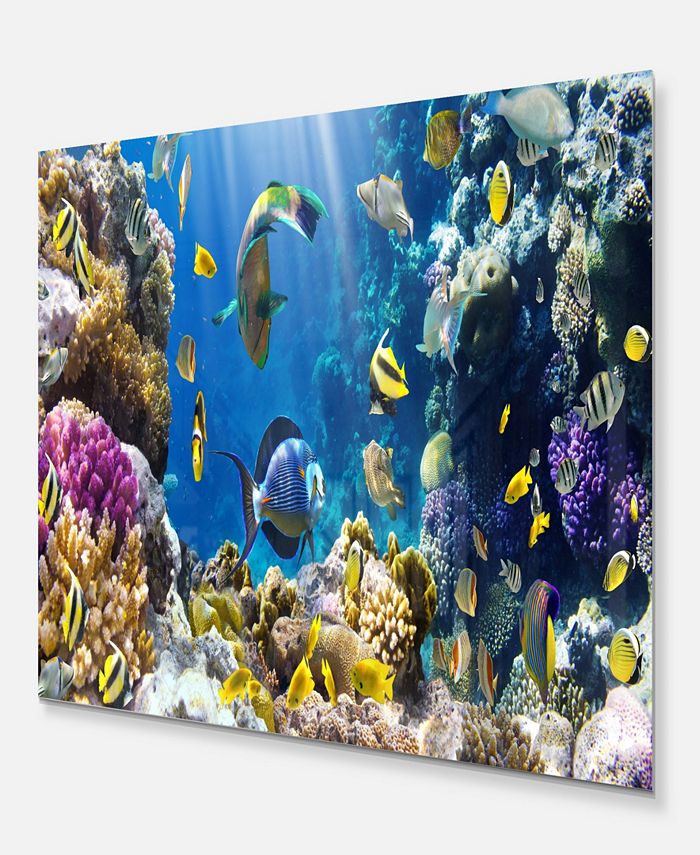 Design Art Designart 'Fish In Coral Reef' Seascape Photography Metal ...