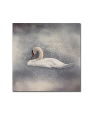 Trademark Global Jai Johnson 'swan Storm' Canvas Art In Multi