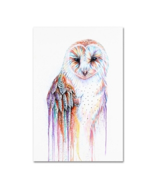 Trademark Global Michelle Faber 'barred Rainbow Owl' Canvas Art In Multi