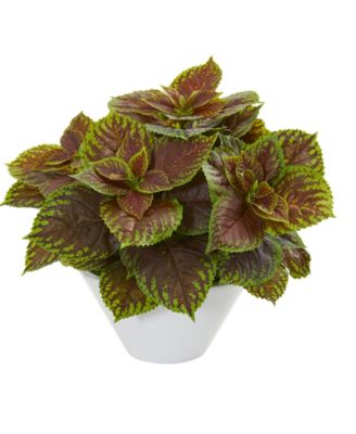 Nearly Natural - Coleus Artificial Plant in White Planter (Real Touch)