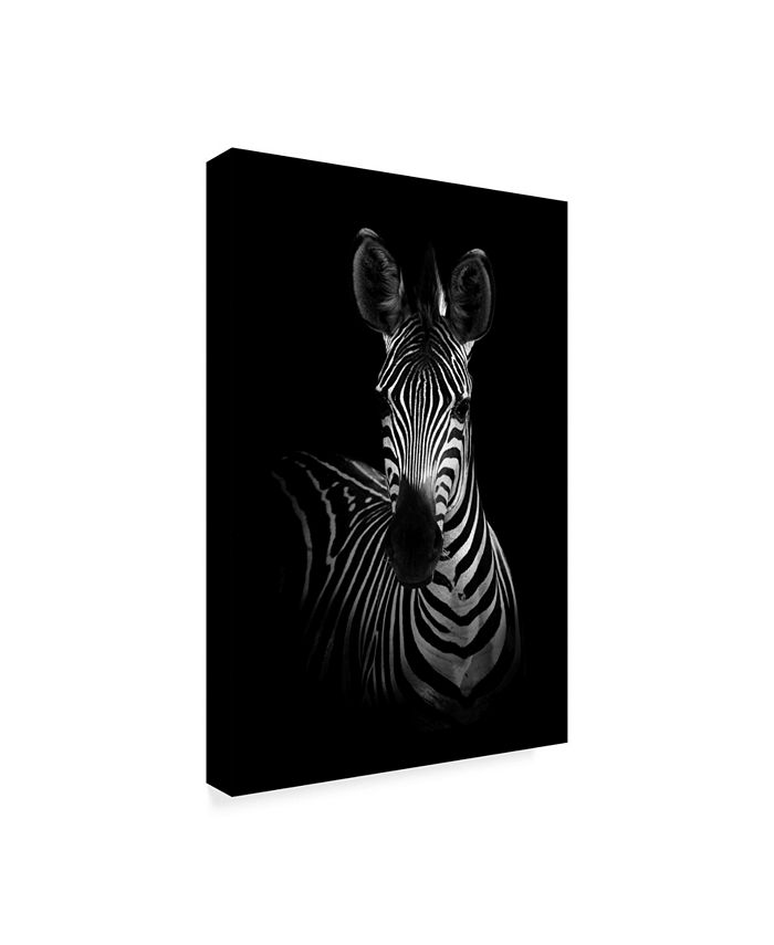 Trademark Global Wildphotoart 'The Zebra' Canvas Art - 12