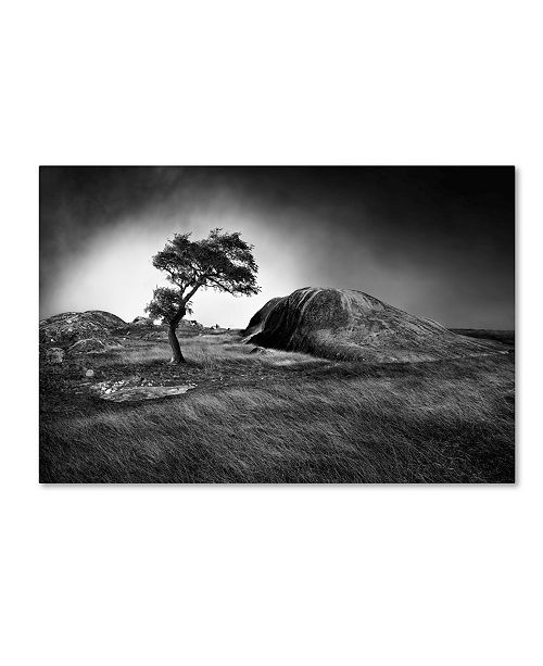 Trademark Global Peter Elgar Winter Is Coming Canvas Art 47 X