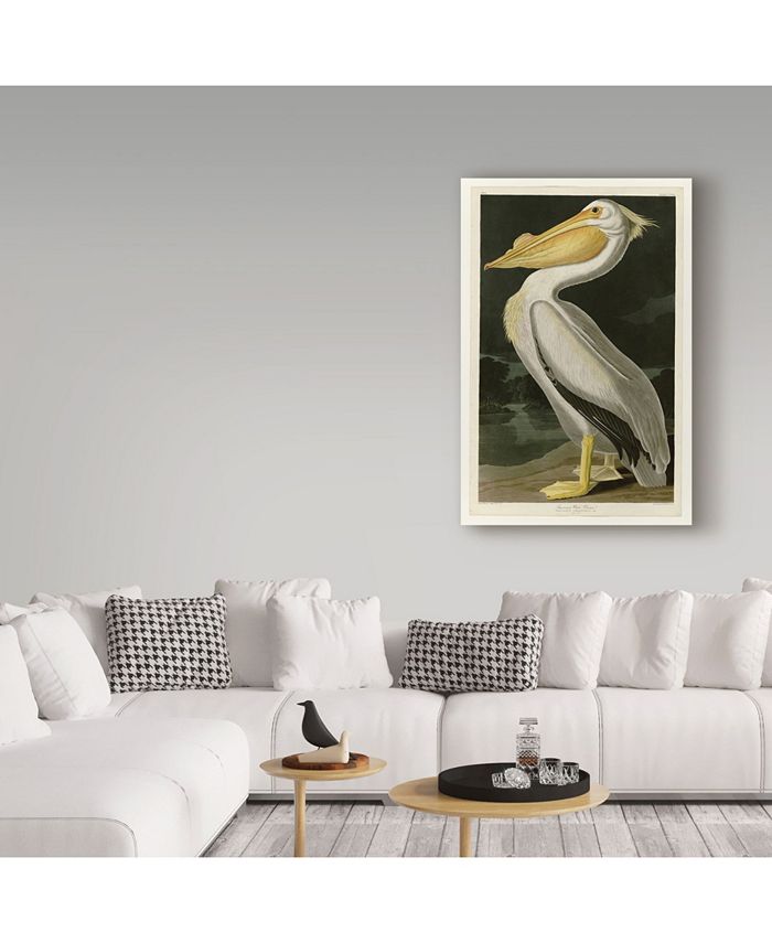 Trademark Global John James Audobon 'American White Pelican' Canvas Art ...