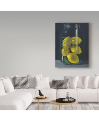 Trademark Global Marnie Bourque 'Lemons' Canvas Art - 32" x 24" x 2"