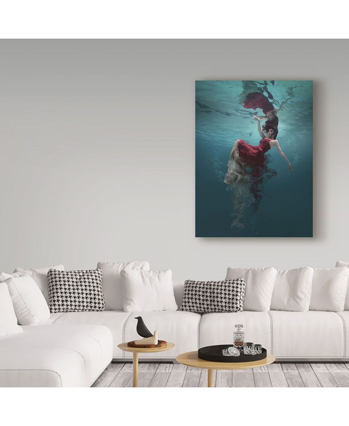 Trademark Global Martha Suherman 'Evanesced' Canvas Art - 24