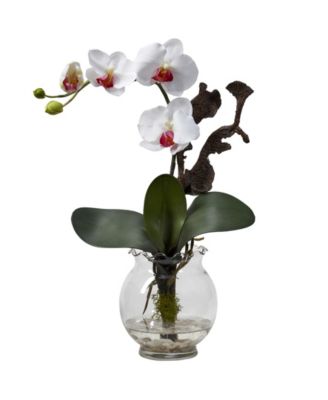 Mini Phalaenopsis w/Fluted Vase Silk Flower Arrangement