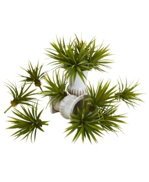 Nearly Natural Mini Spiky Agave Succulent Plant, Set Of 12 In Green