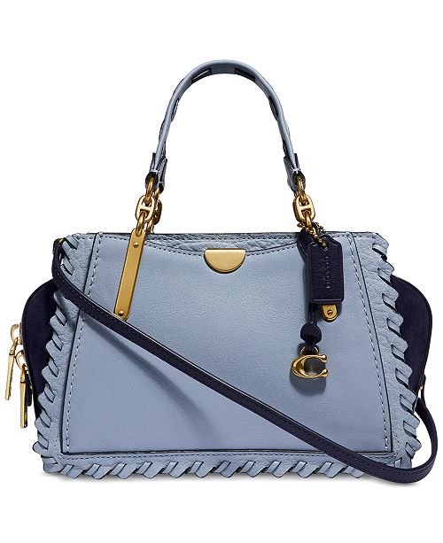 COACH Whipstitch Colorblocked Leather Dreamer 21 Crossbody & Reviews