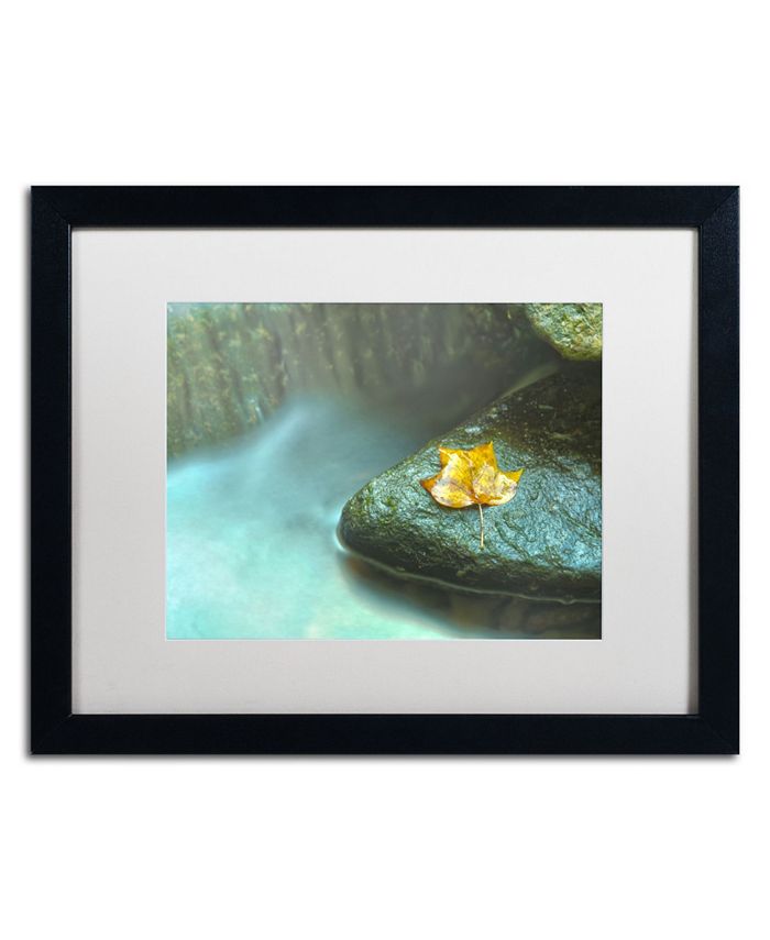 Trademark Global PIPA Fine Art 'Misty Leaf' Matted Framed Art - 16